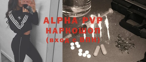 стафф Арсеньев