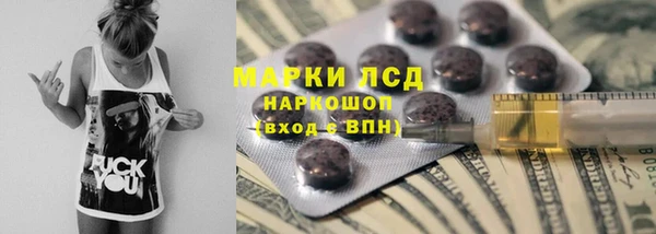 стафф Арсеньев