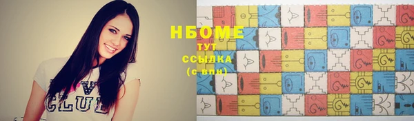 индика Бородино