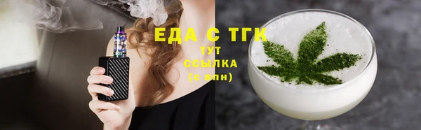 индика Бородино