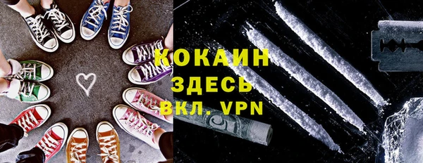 стафф Арсеньев