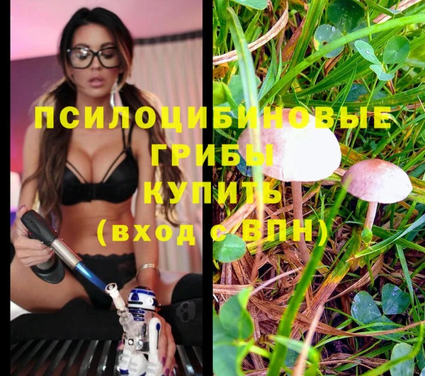 марихуана Саяногорск