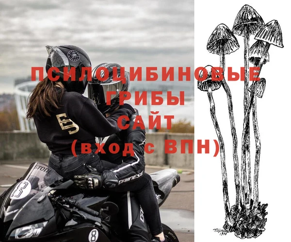 метамфетамин Аркадак